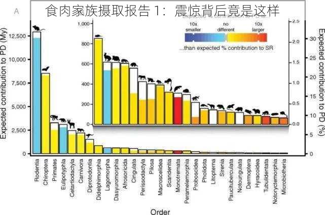 食肉家族摄取报告 1：震惊背后竟是这样