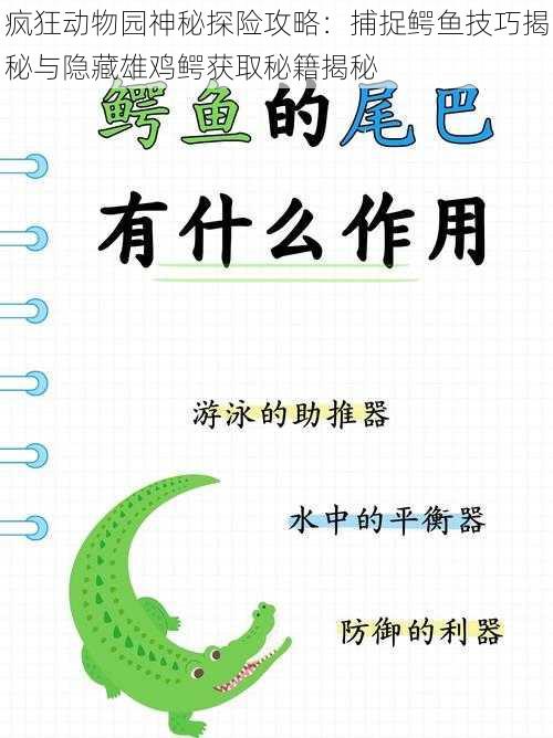 疯狂动物园神秘探险攻略：捕捉鳄鱼技巧揭秘与隐藏雄鸡鳄获取秘籍揭秘