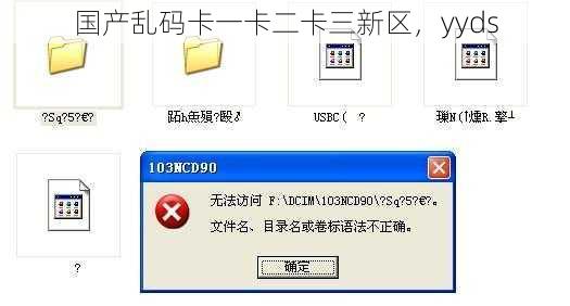 国产乱码卡一卡二卡三新区，yyds