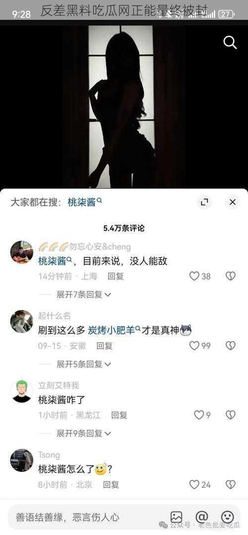 反差黑料吃瓜网正能量终被封