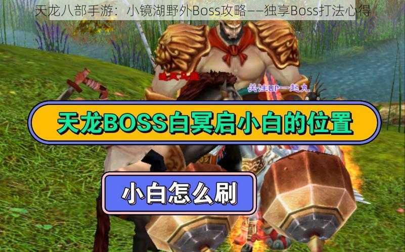 天龙八部手游：小镜湖野外Boss攻略——独享Boss打法心得