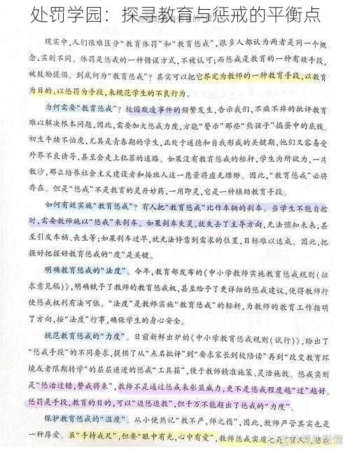 处罚学园：探寻教育与惩戒的平衡点