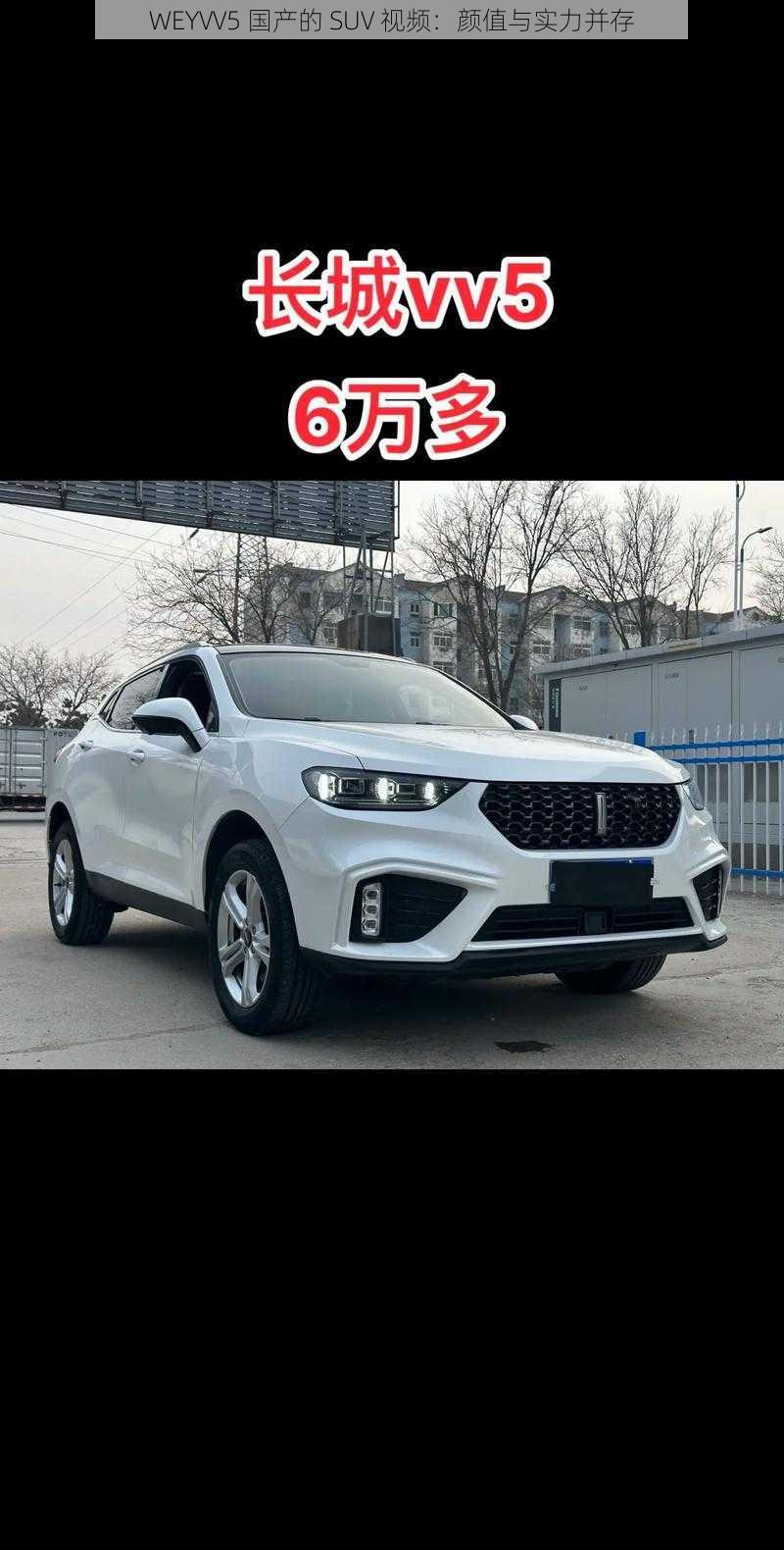 WEYVV5 国产的 SUV 视频：颜值与实力并存