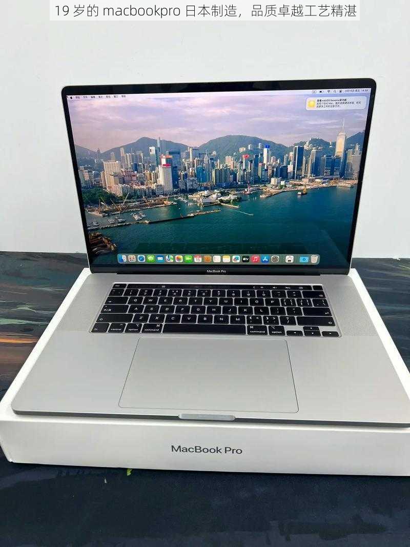 19 岁的 macbookpro 日本制造，品质卓越工艺精湛