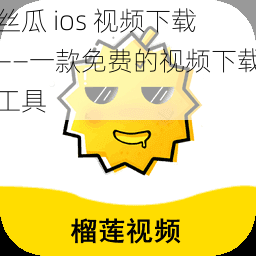 丝瓜 ios 视频下载——一款免费的视频下载工具