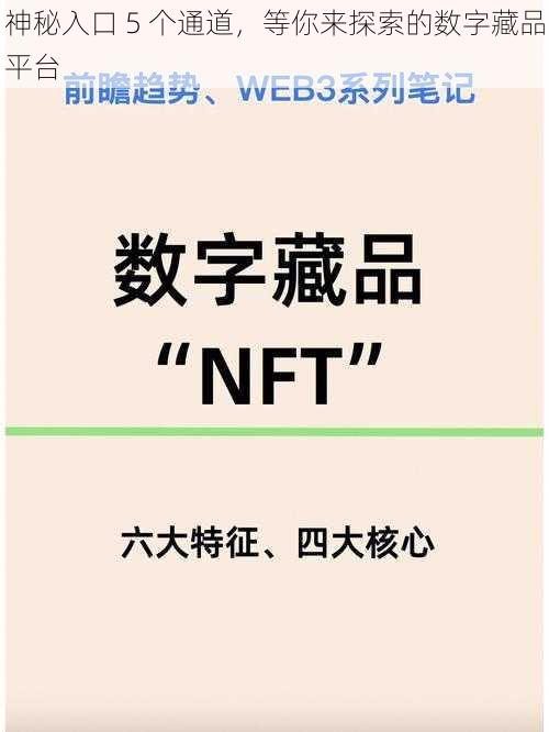 神秘入口 5 个通道，等你来探索的数字藏品平台