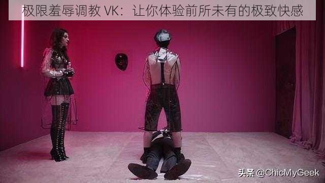 极限羞辱调教 VK：让你体验前所未有的极致快感