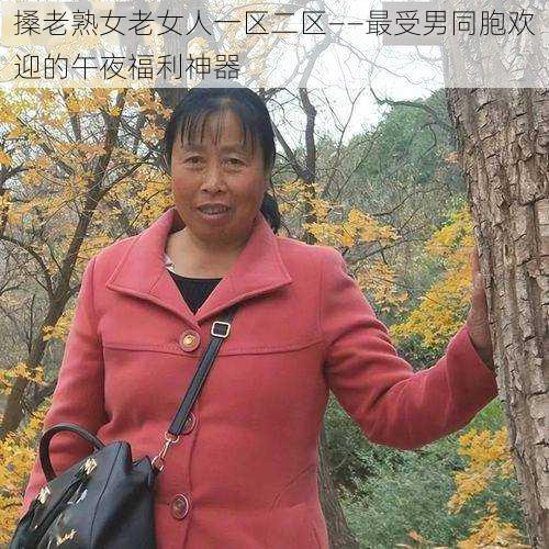 搡老熟女老女人一区二区——最受男同胞欢迎的午夜福利神器