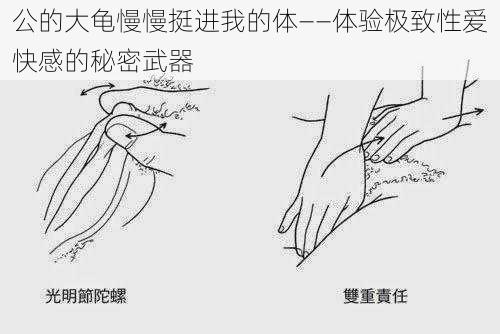 公的大龟慢慢挺进我的体——体验极致性爱快感的秘密武器