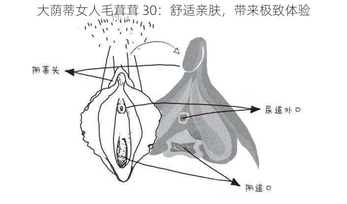 大荫蒂女人毛茸茸 30：舒适亲肤，带来极致体验