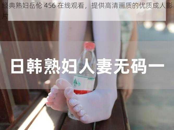 经典熟妇岳伦 456 在线观看，提供高清画质的优质成人影片