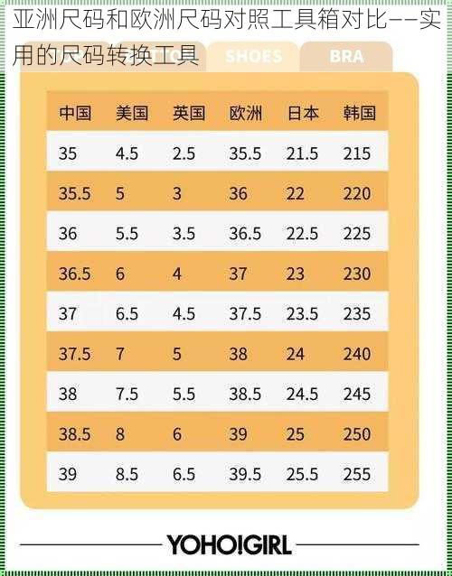 亚洲尺码和欧洲尺码对照工具箱对比——实用的尺码转换工具