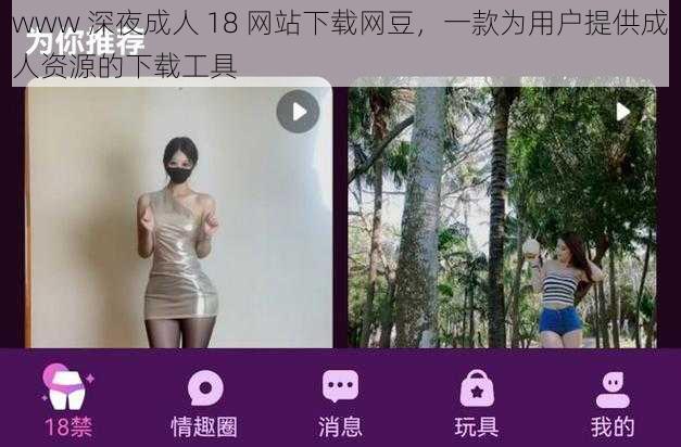 www 深夜成人 18 网站下载网豆，一款为用户提供成人资源的下载工具