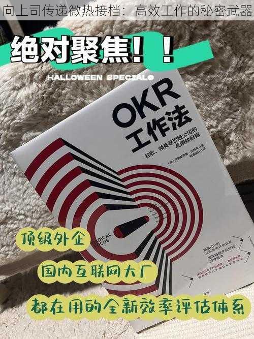 向上司传递微热接档：高效工作的秘密武器