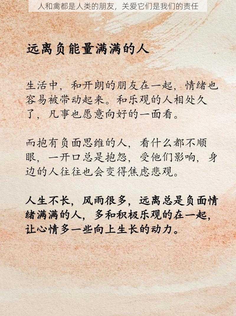 人和禽都是人类的朋友，关爱它们是我们的责任