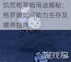 饥荒格罗姆用途揭秘：格罗姆如何助力生存及喂养指南