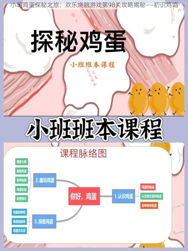 小明鸡蛋探秘之旅：欢乐烧脑游戏第98关攻略揭秘——初识鸡鸣