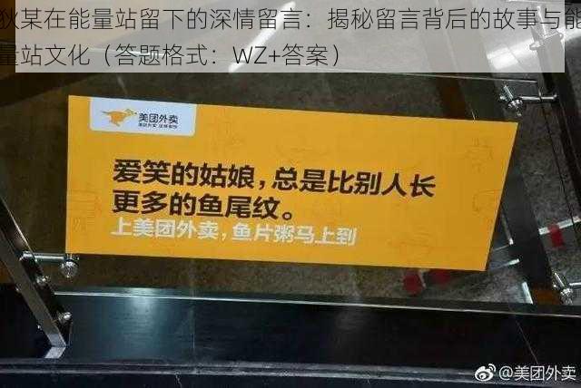 狄某在能量站留下的深情留言：揭秘留言背后的故事与能量站文化（答题格式：WZ+答案）