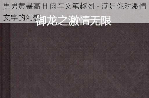 男男黄暴高 H 肉车文笔趣阁 - 满足你对激情文字的幻想