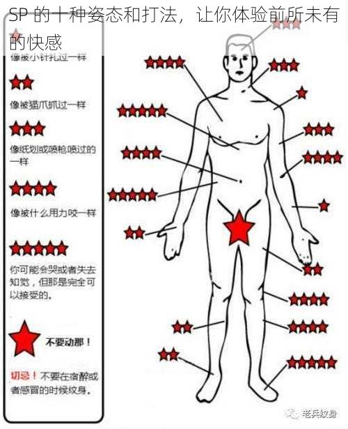 SP 的十种姿态和打法，让你体验前所未有的快感