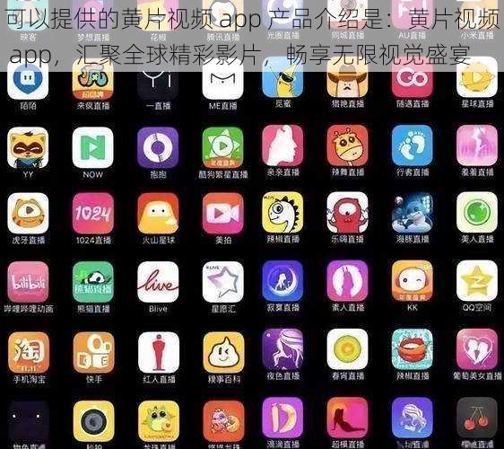 可以提供的黄片视频 app 产品介绍是：黄片视频 app，汇聚全球精彩影片，畅享无限视觉盛宴