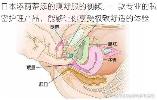 日本添荫蒂添的爽舒服的视频，一款专业的私密护理产品，能够让你享受极致舒适的体验