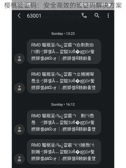 樱桃验证码：安全高效的验证码解决方案