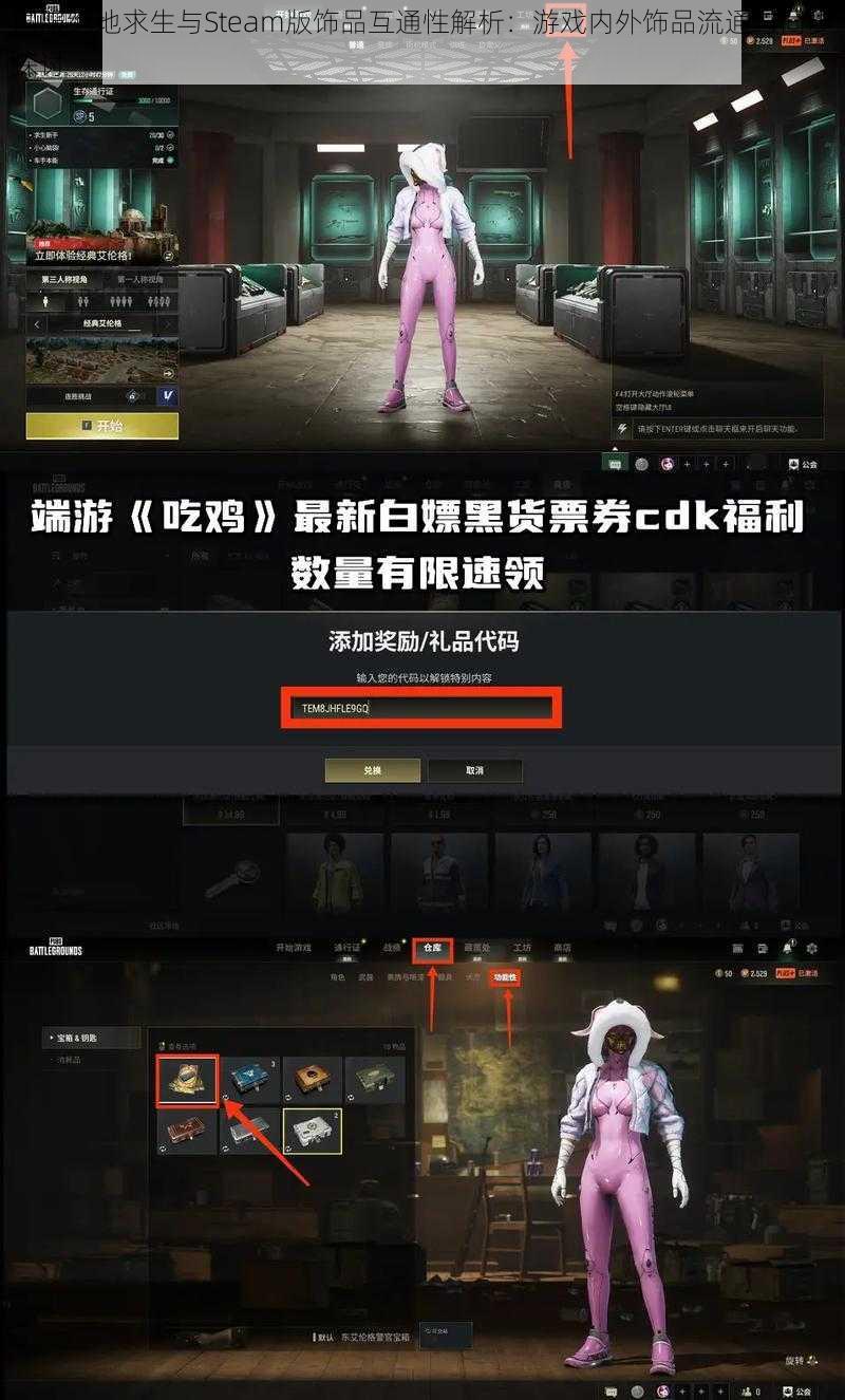 国服绝地求生与Steam版饰品互通性解析：游戏内外饰品流通与同步探讨