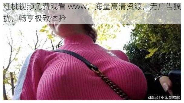 红桃视频免费观看 www，海量高清资源，无广告骚扰，畅享极致体验