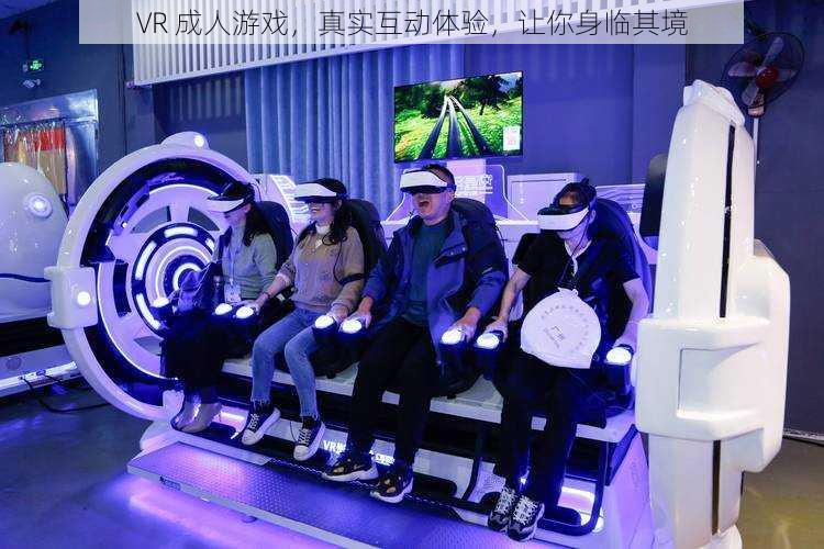 VR 成人游戏，真实互动体验，让你身临其境