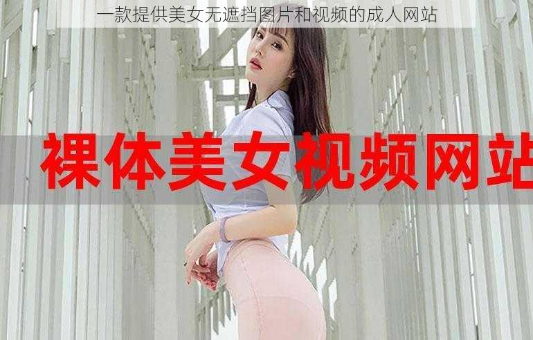 一款提供美女无遮挡图片和视频的成人网站