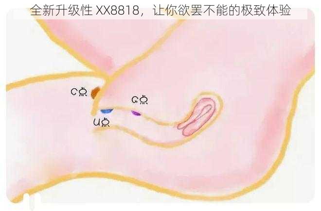 全新升级性 XX8818，让你欲罢不能的极致体验