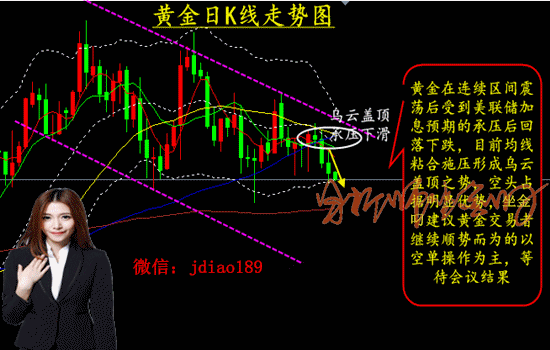 免费获取专业的黄金行情软件，实时掌握黄金市场动态