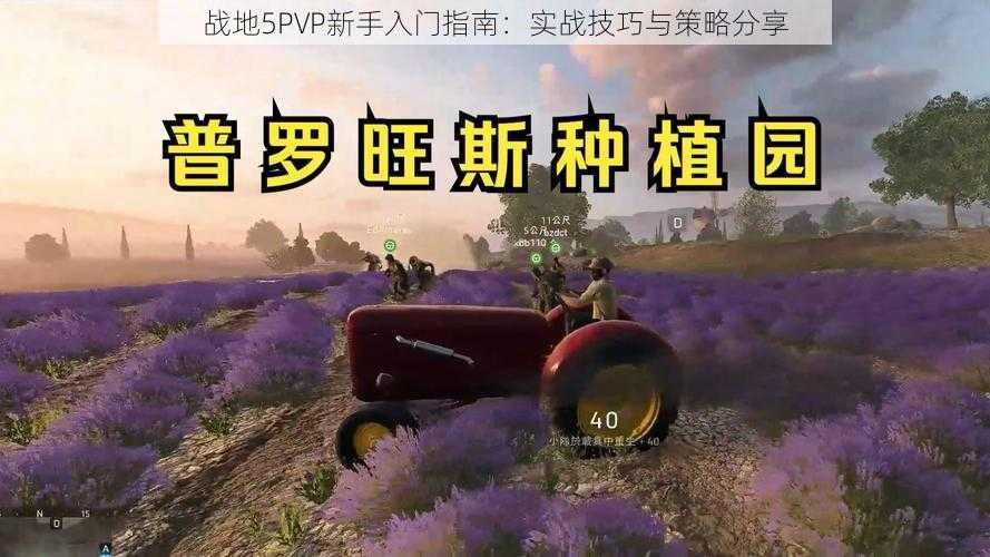 战地5PVP新手入门指南：实战技巧与策略分享