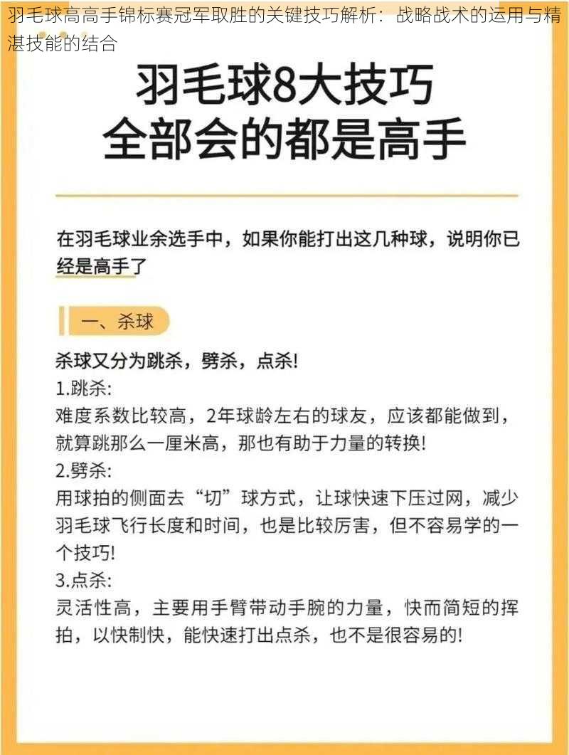 羽毛球高高手锦标赛冠军取胜的关键技巧解析：战略战术的运用与精湛技能的结合