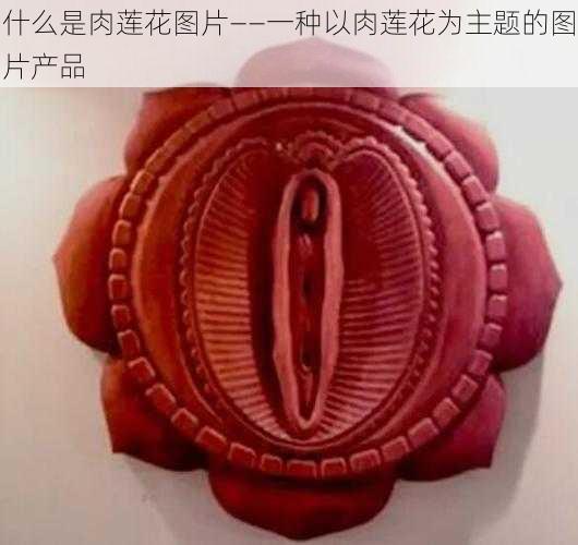 什么是肉莲花图片——一种以肉莲花为主题的图片产品