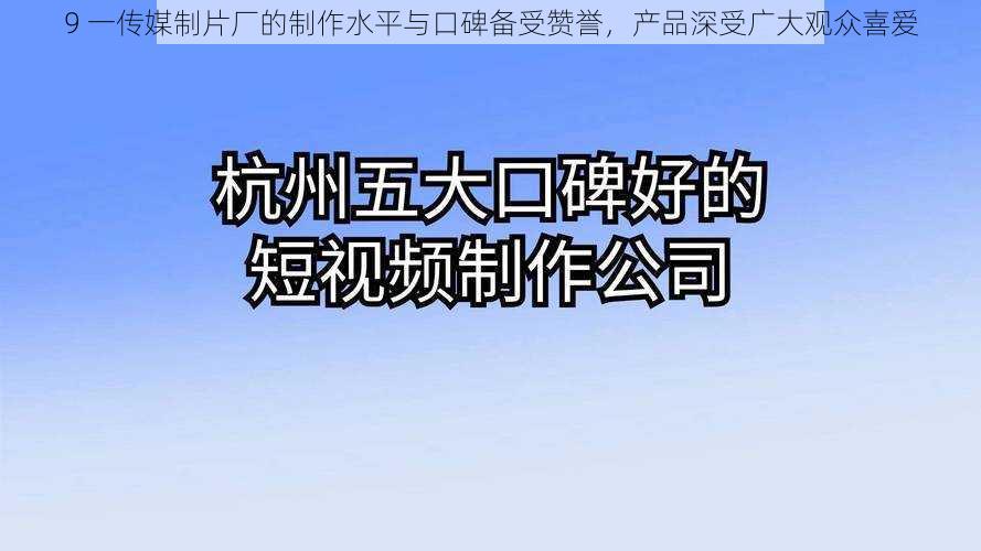 9 一传媒制片厂的制作水平与口碑备受赞誉，产品深受广大观众喜爱