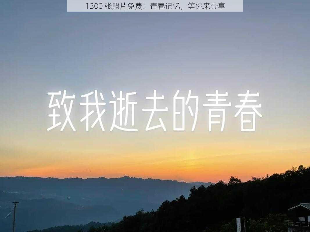 1300 张照片免费：青春记忆，等你来分享