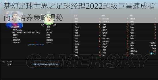 梦幻足球世界之足球经理2022超级巨星速成指南：培养策略揭秘