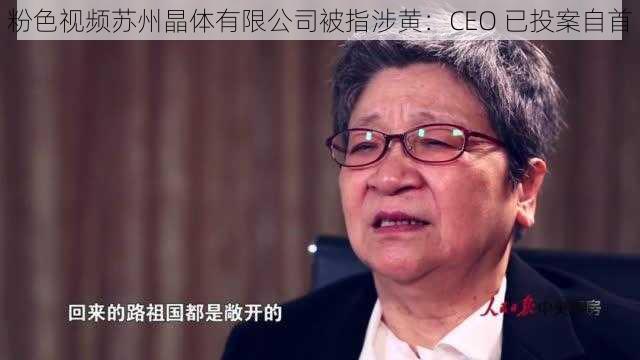 粉色视频苏州晶体有限公司被指涉黄：CEO 已投案自首