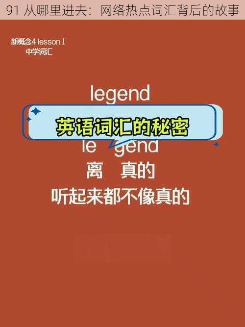 91 从哪里进去：网络热点词汇背后的故事