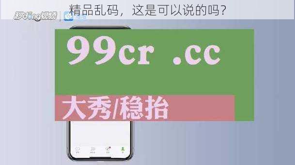 精品乱码，这是可以说的吗？