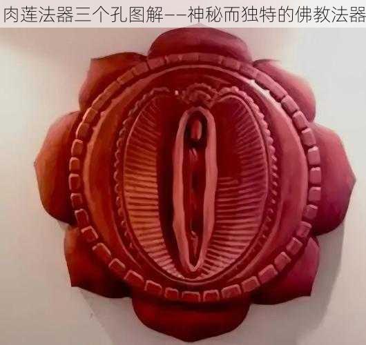 肉莲法器三个孔图解——神秘而独特的佛教法器