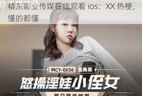 精东影业传媒在线观看 ios：XX 热梗，懂的都懂