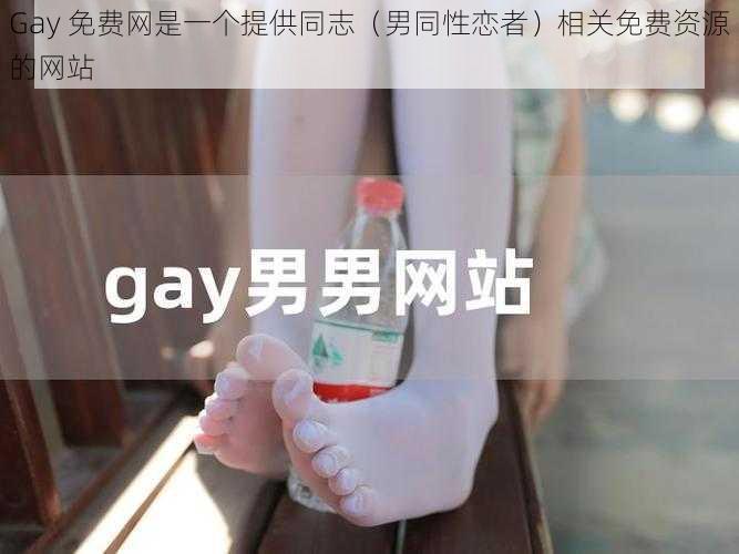 Gay 免费网是一个提供同志（男同性恋者）相关免费资源的网站