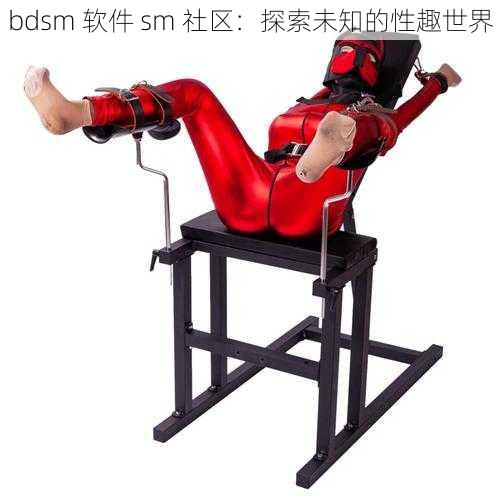 bdsm 软件 sm 社区：探索未知的性趣世界