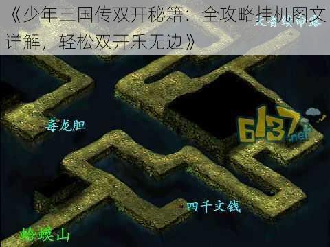 《少年三国传双开秘籍：全攻略挂机图文详解，轻松双开乐无边》