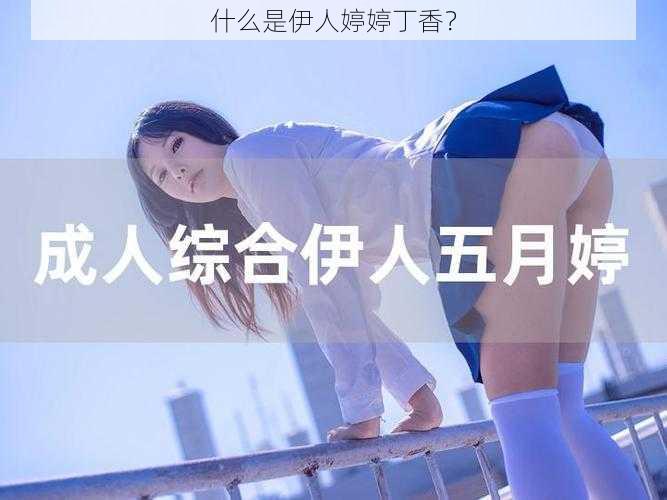 什么是伊人婷婷丁香？