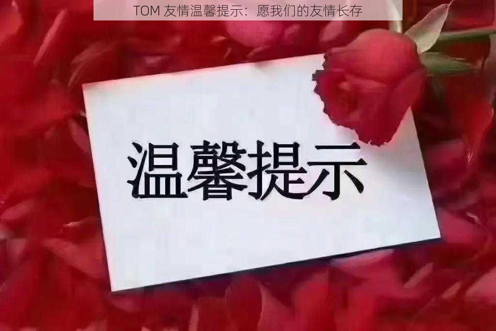 TOM 友情温馨提示：愿我们的友情长存