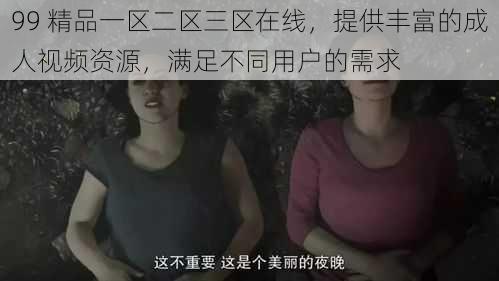 99 精品一区二区三区在线，提供丰富的成人视频资源，满足不同用户的需求